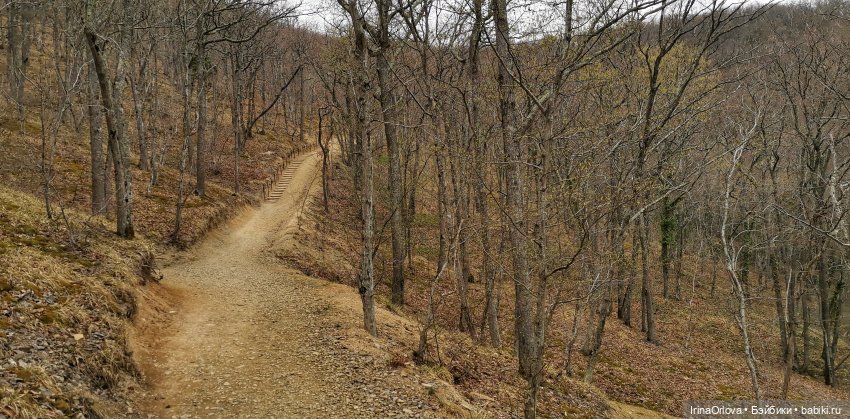 Маша в Абрау - Дюрсо — Игровые куклы Zwergnase (Цвергназе) Junior: Джуниор (фото 10)