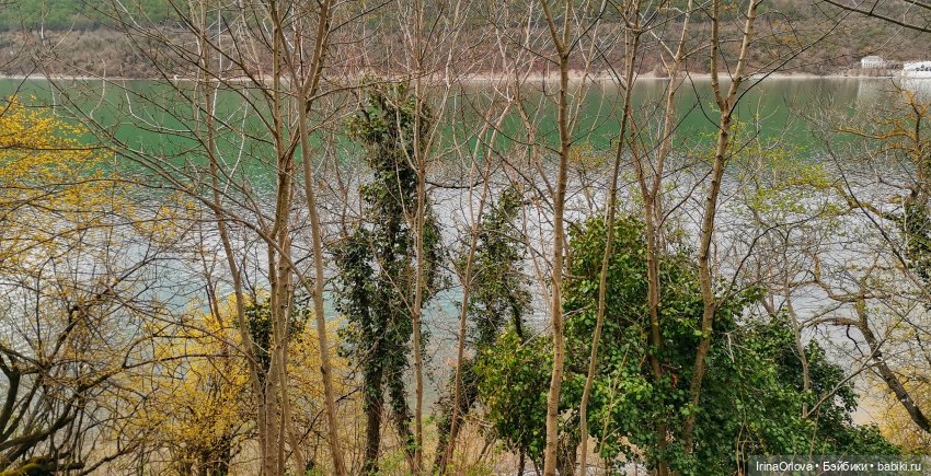 Маша в Абрау - Дюрсо — Игровые куклы Zwergnase (Цвергназе) Junior: Джуниор (фото 6)