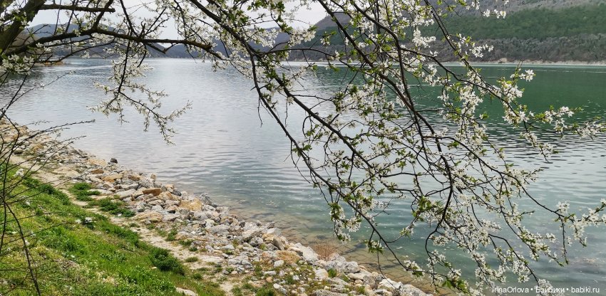 Маша в Абрау - Дюрсо — Игровые куклы Zwergnase (Цвергназе) Junior: Джуниор