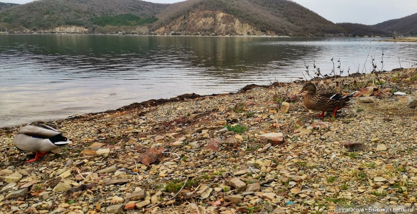 Маша в Абрау - Дюрсо — Игровые куклы Zwergnase (Цвергназе) Junior: Джуниор