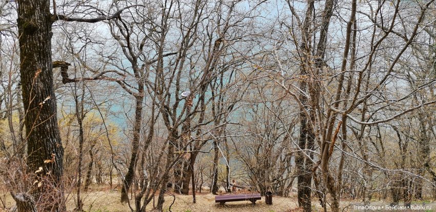 Маша в Абрау - Дюрсо — Игровые куклы Zwergnase (Цвергназе) Junior: Джуниор (фото 9)