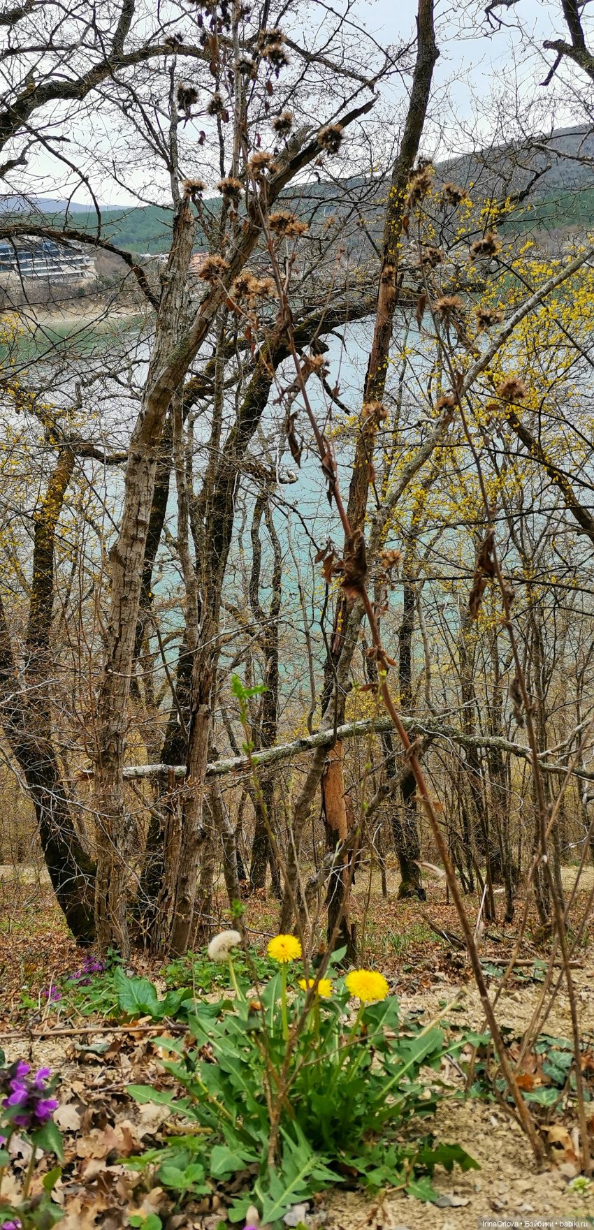 Маша в Абрау - Дюрсо — Игровые куклы Zwergnase (Цвергназе) Junior: Джуниор