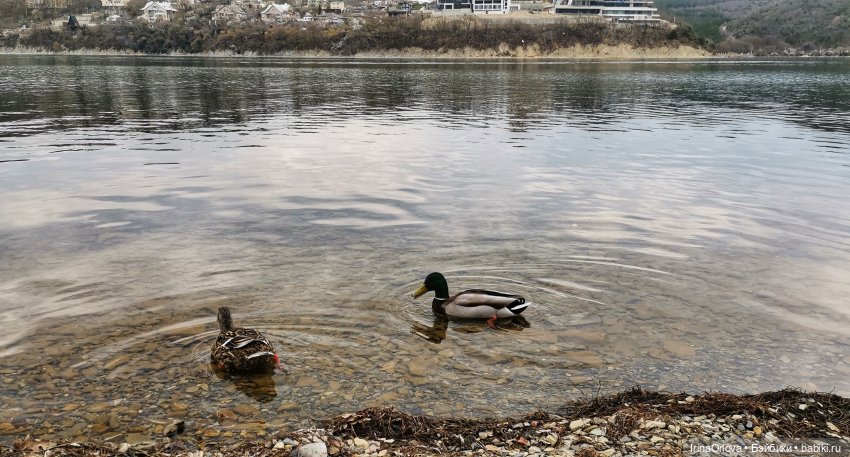 Маша в Абрау - Дюрсо — Игровые куклы Zwergnase (Цвергназе) Junior: Джуниор