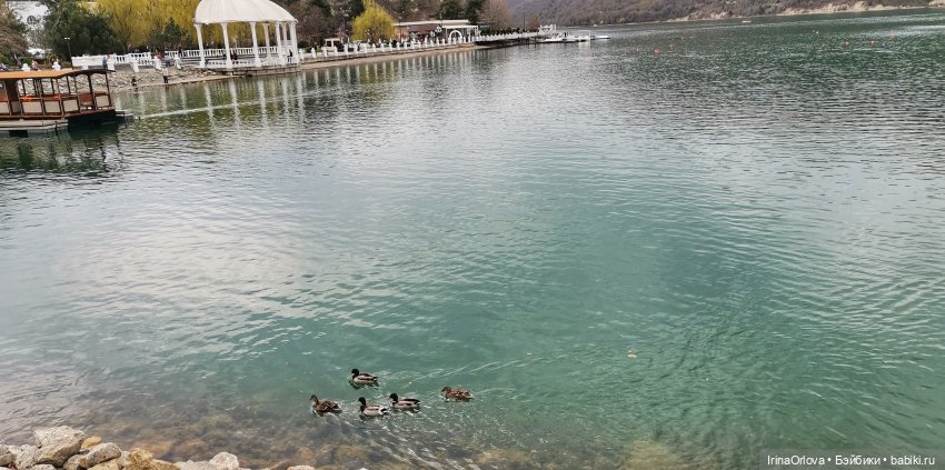 Маша в Абрау - Дюрсо — Игровые куклы Zwergnase (Цвергназе) Junior: Джуниор (фото 5)