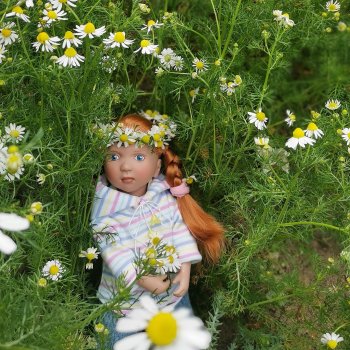 Маленькие солнышки - Ромашки для Машки