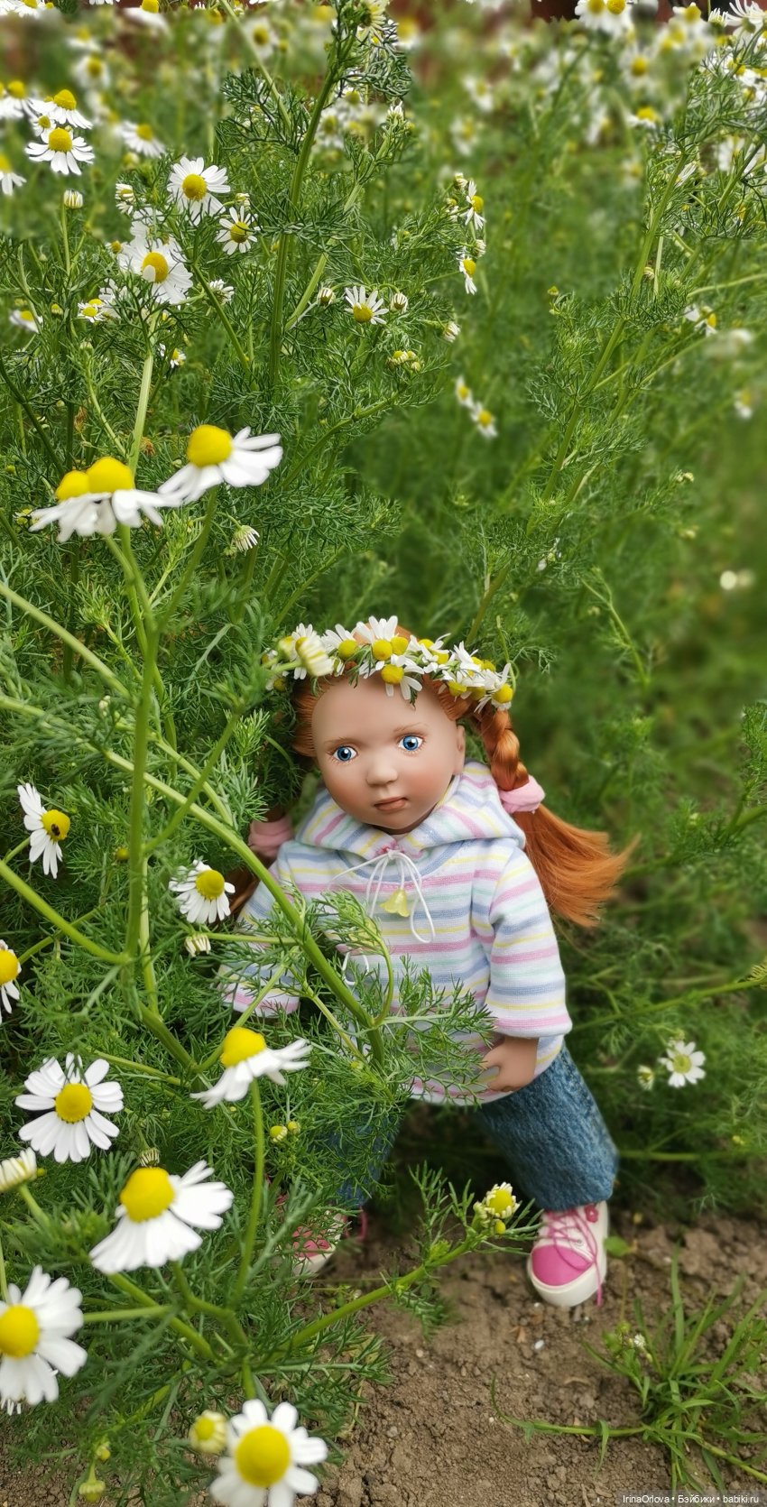 Маленькие солнышки - Ромашки для Машки