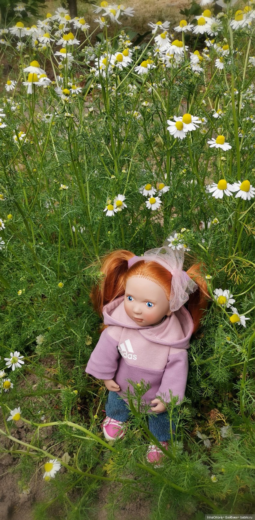 Маленькие солнышки - Ромашки для Машки