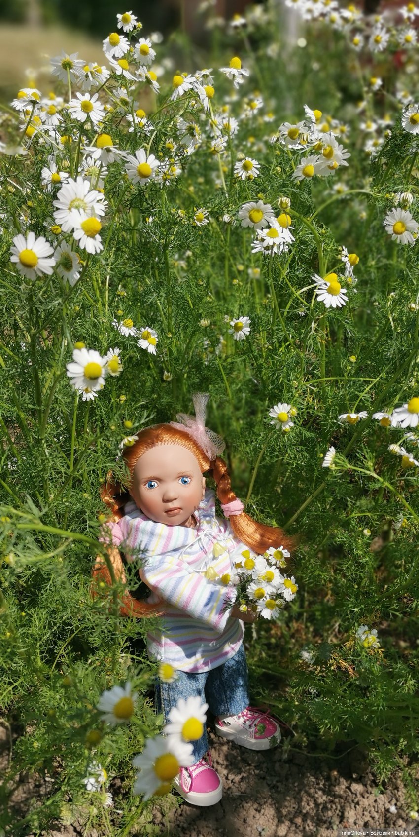 Маленькие солнышки - Ромашки для Машки