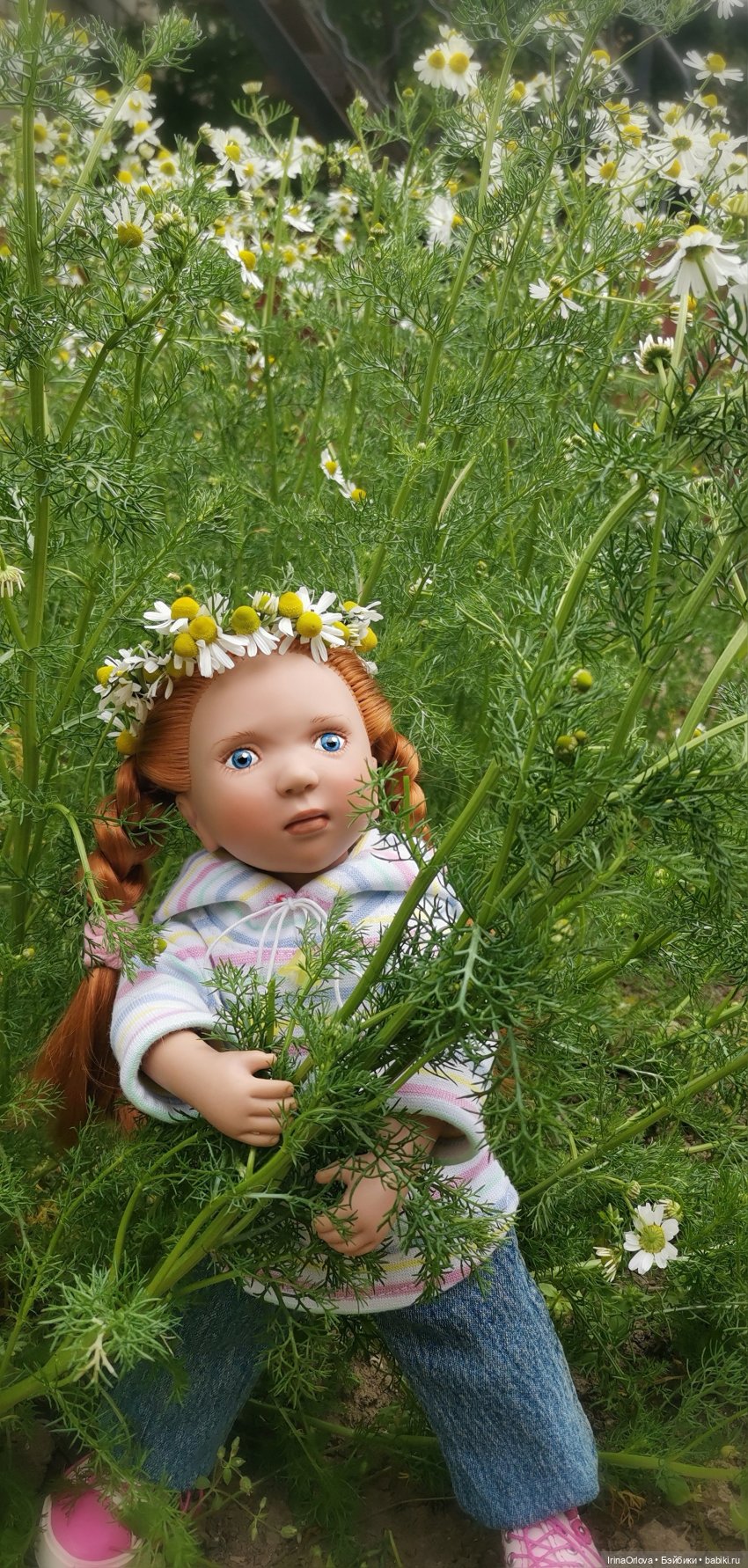 Маленькие солнышки - Ромашки для Машки