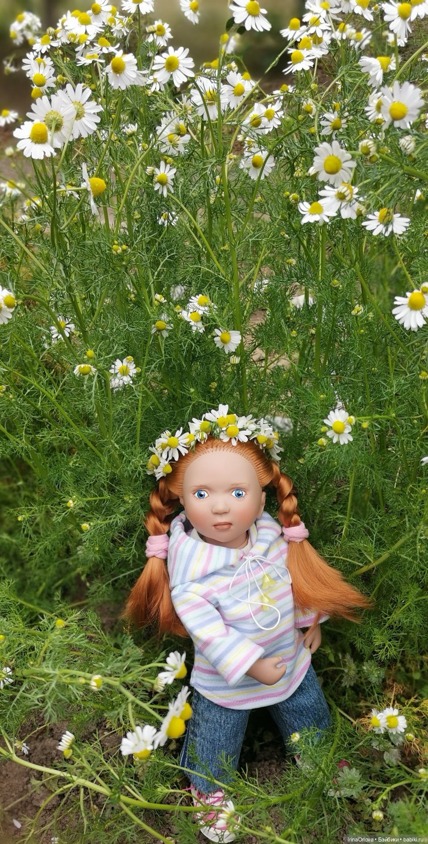 Маленькие солнышки - Ромашки для Машки