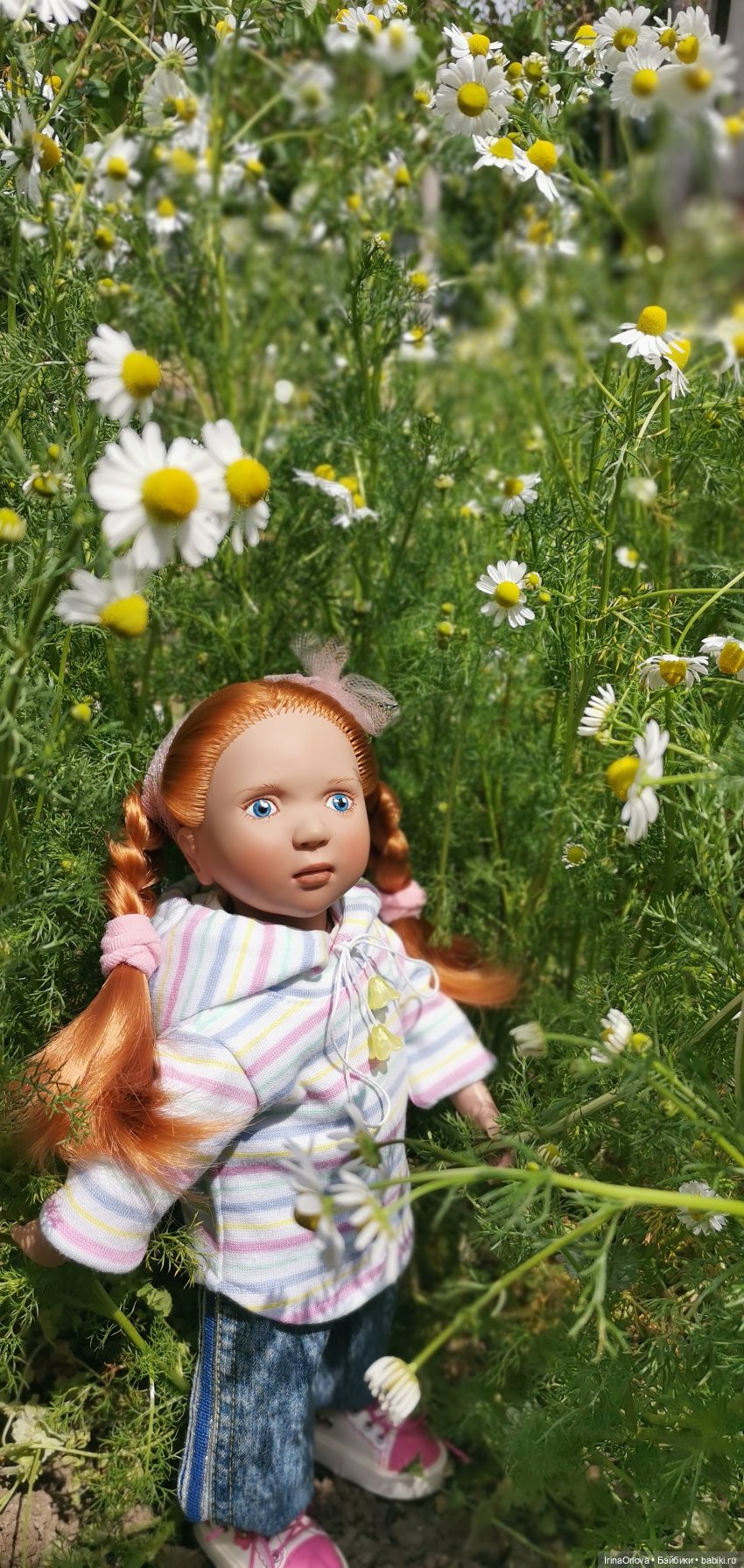 Маленькие солнышки - Ромашки для Машки