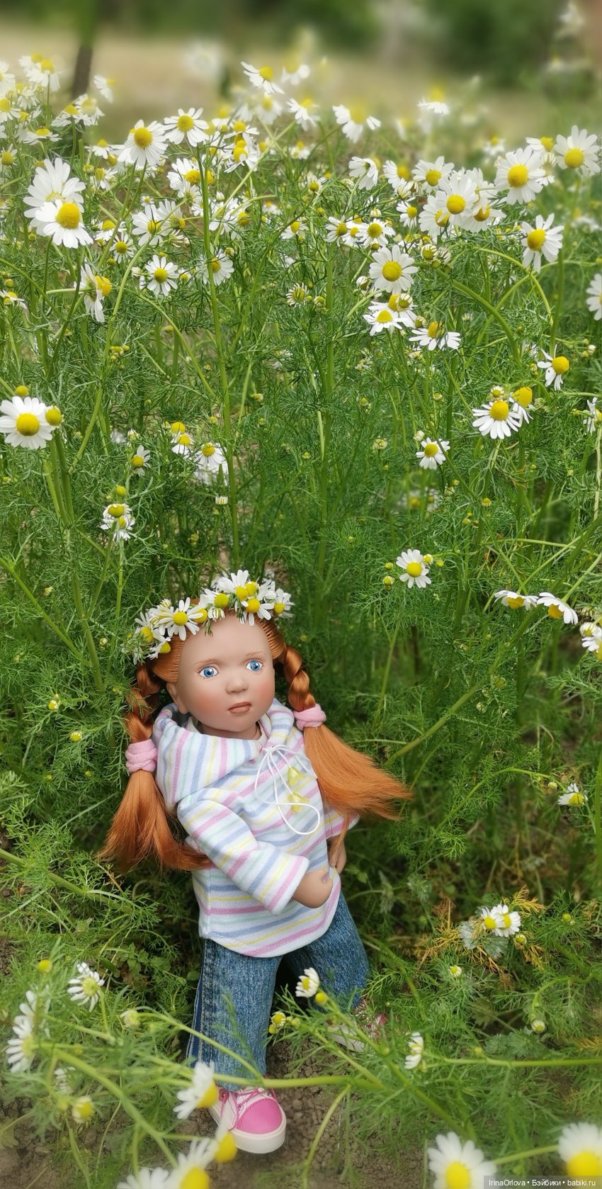 Маленькие солнышки - Ромашки для Машки (фото 8)