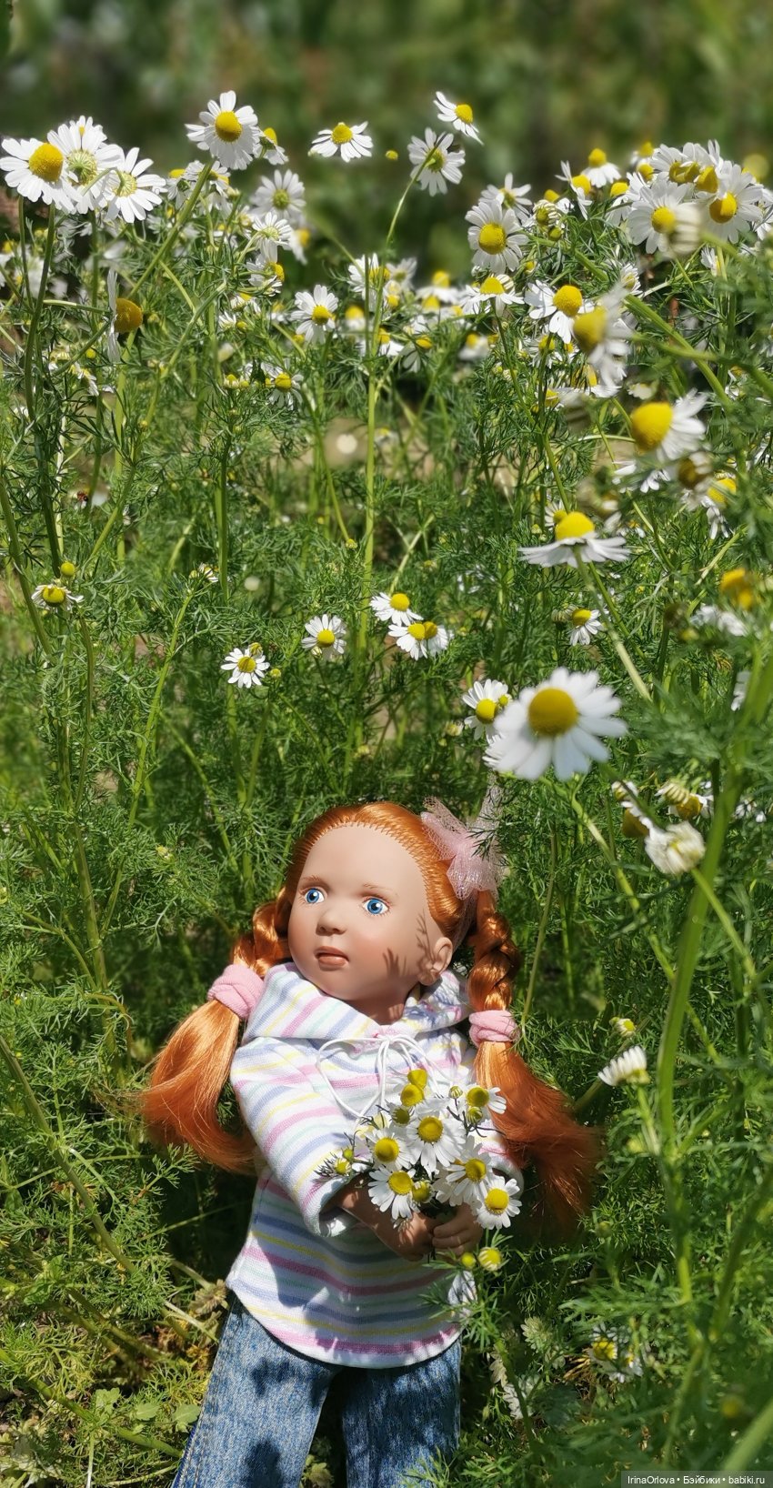 Маленькие солнышки - Ромашки для Машки (фото 7)