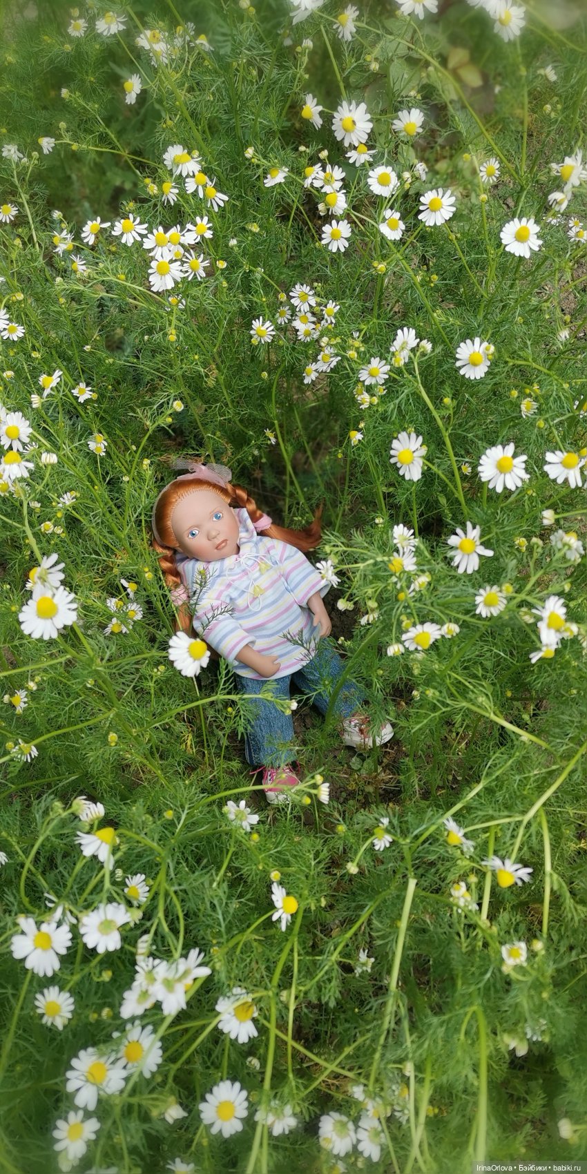 Маленькие солнышки - Ромашки для Машки (фото 5)