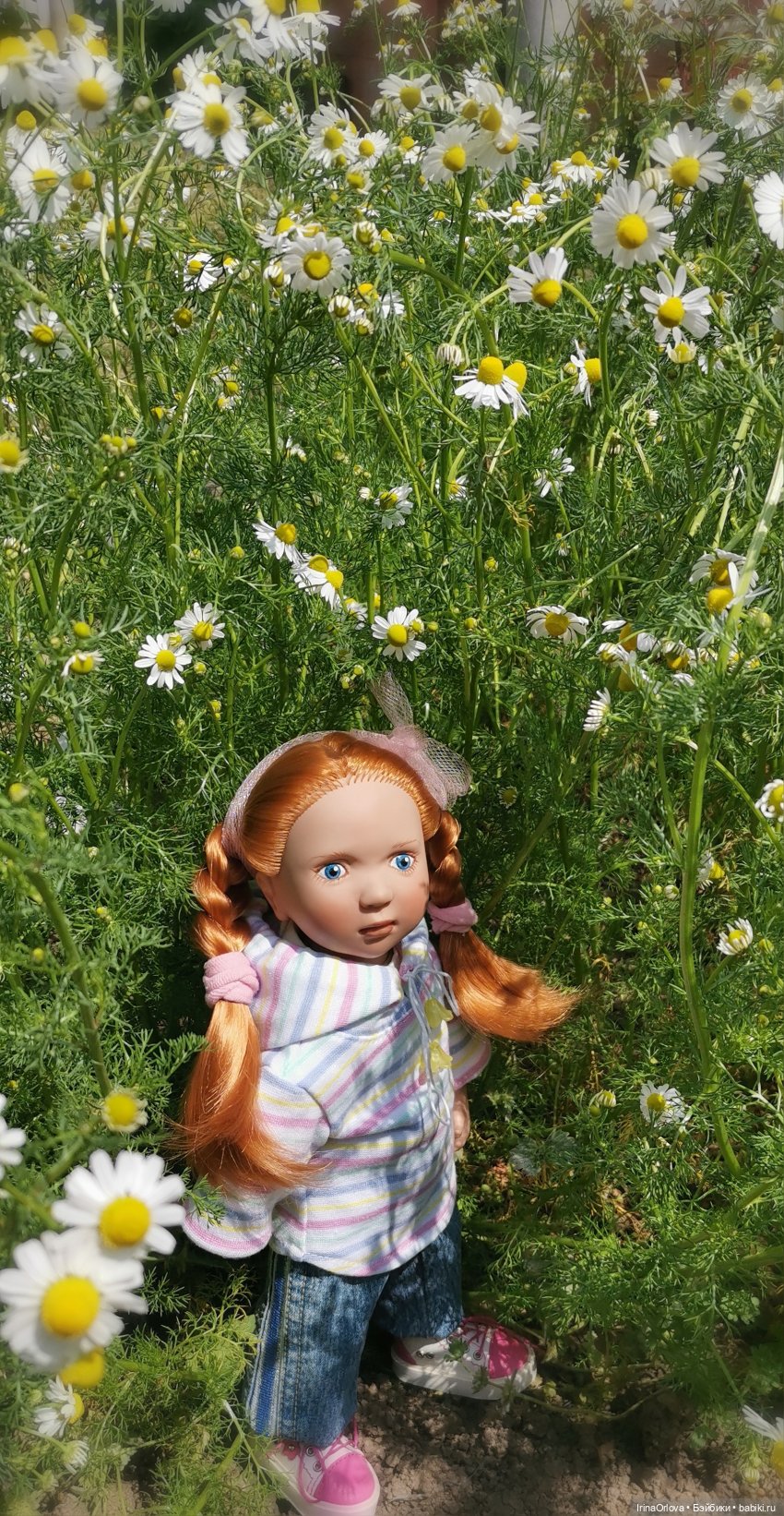 Маленькие солнышки - Ромашки для Машки (фото 6)