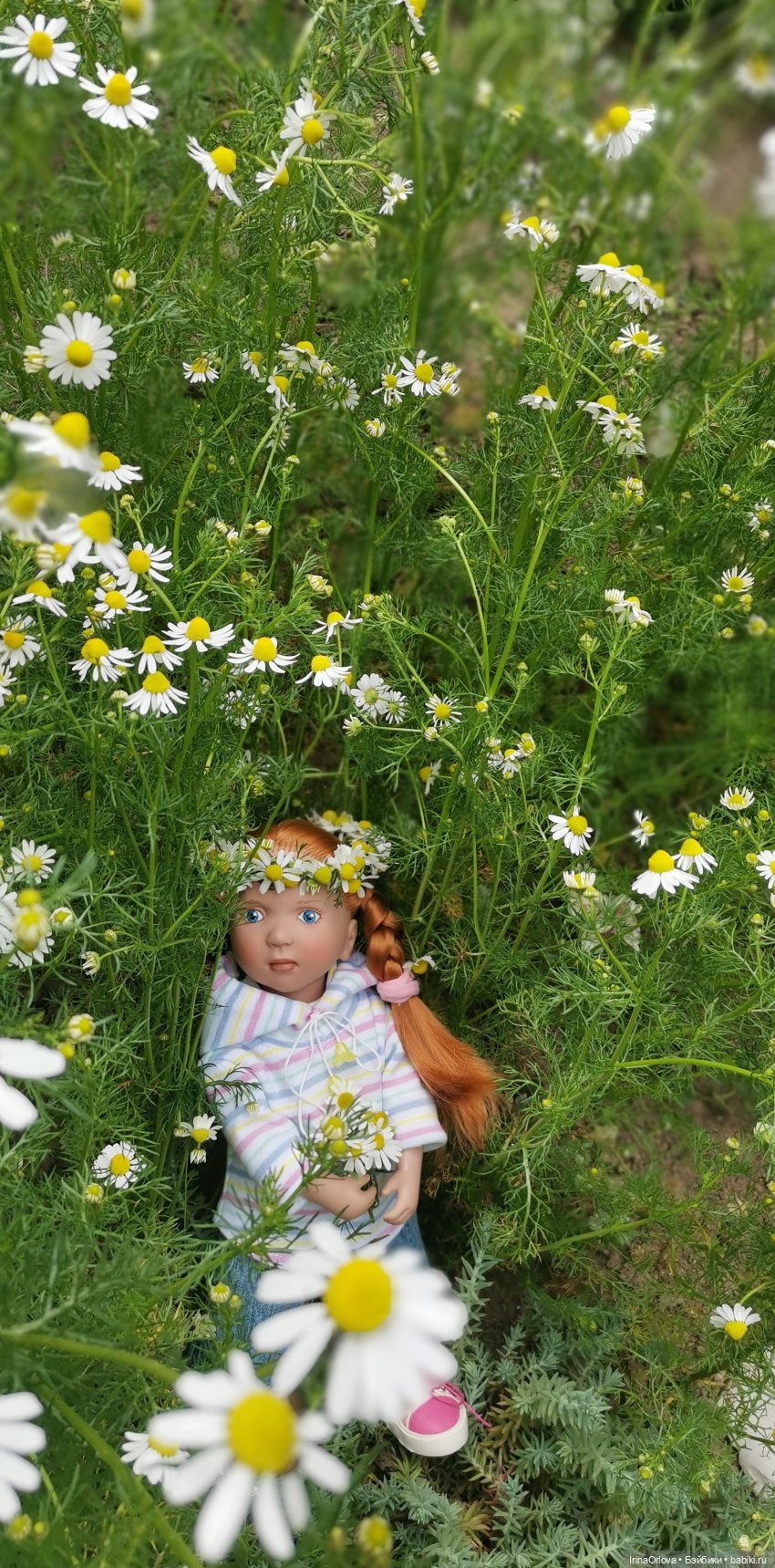 Маленькие солнышки - Ромашки для Машки (фото 9)