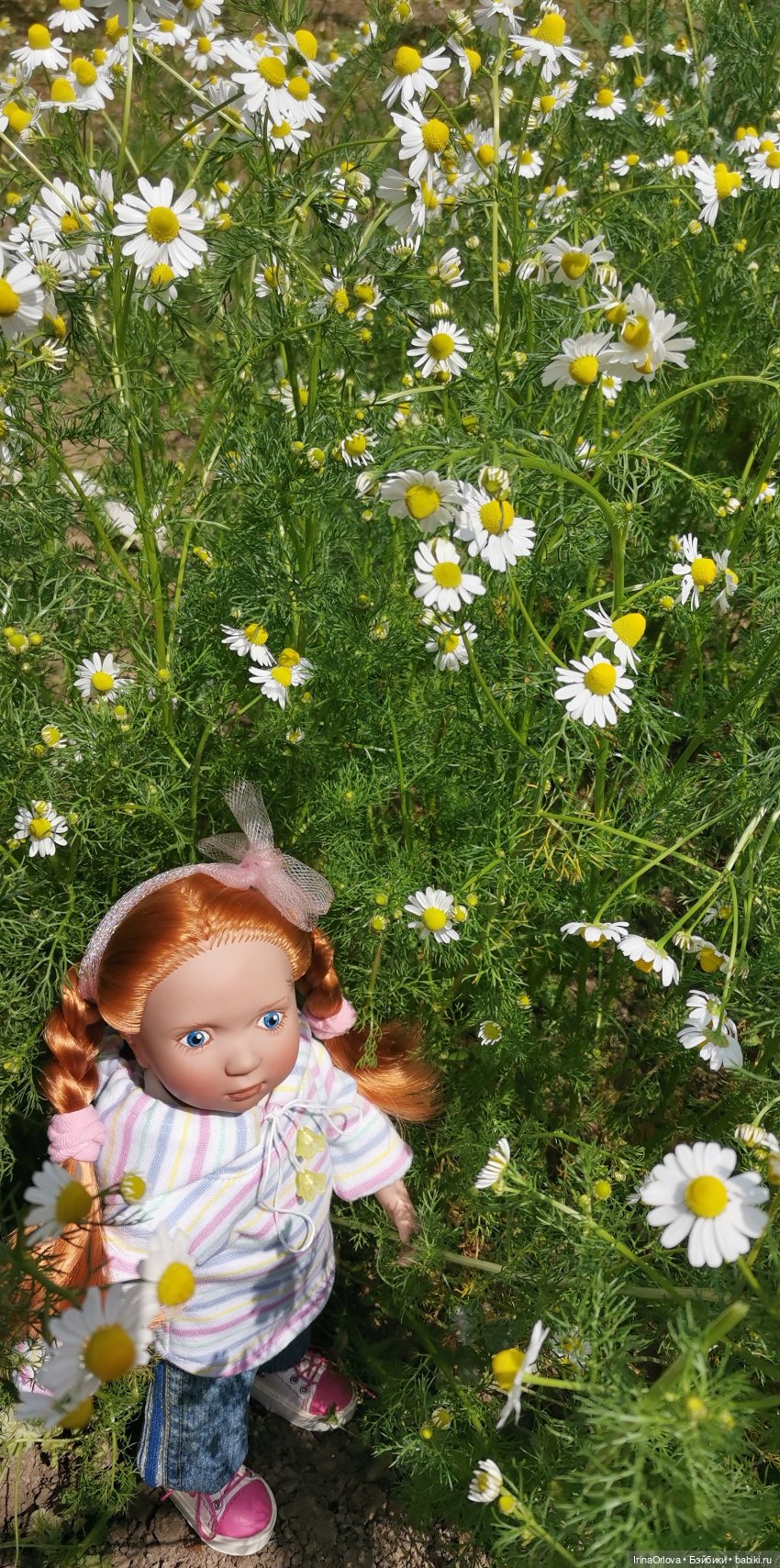 Маленькие солнышки - Ромашки для Машки