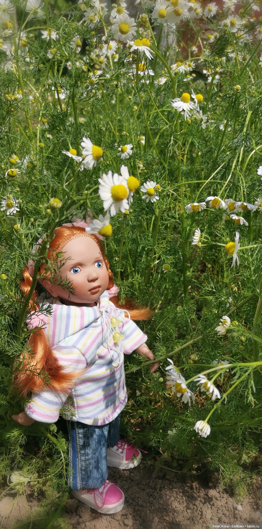 Маленькие солнышки - Ромашки для Машки