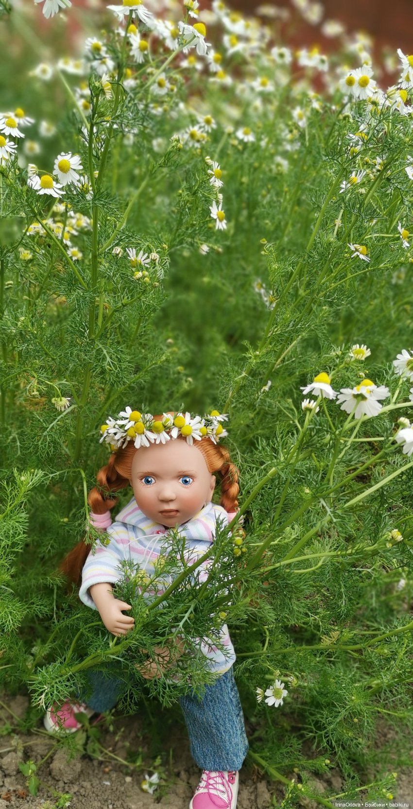 Маленькие солнышки - Ромашки для Машки (фото 4)
