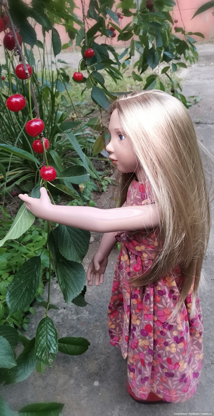 Слева - лето, справа - лето, до чего прекрасно это...🍒🌼