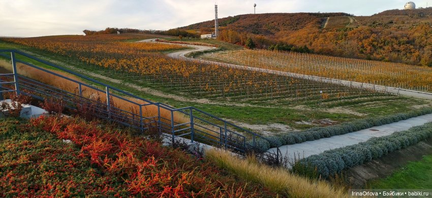 Золотая осень чудной красоты... 🌾🍁🍂