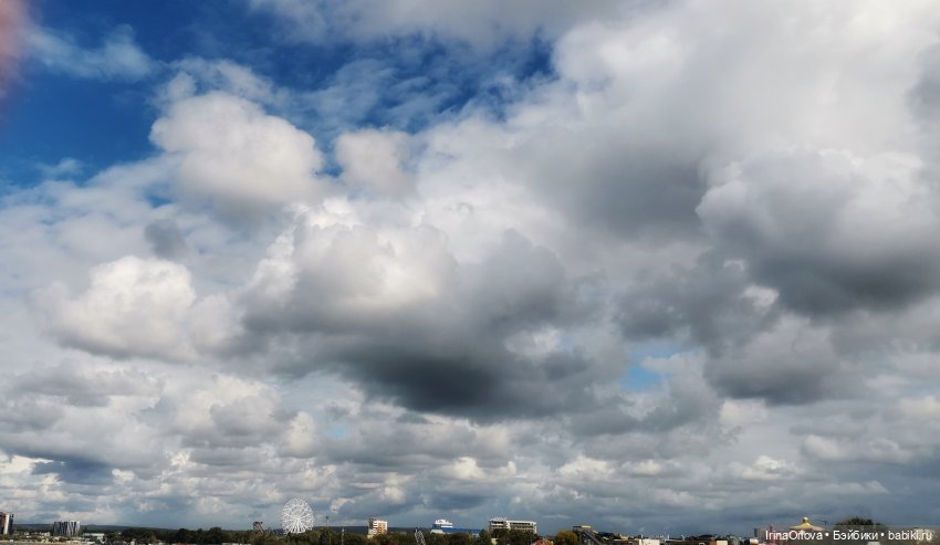 Золотая осень чудной красоты... 🌾🍁🍂 (фото 4)