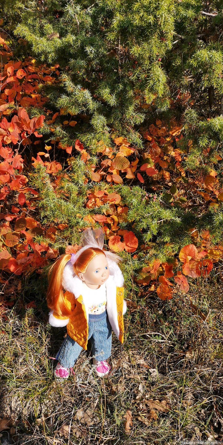 Золотая осень чудной красоты... 🌾🍁🍂