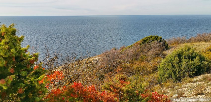 Золотая осень чудной красоты... 🌾🍁🍂