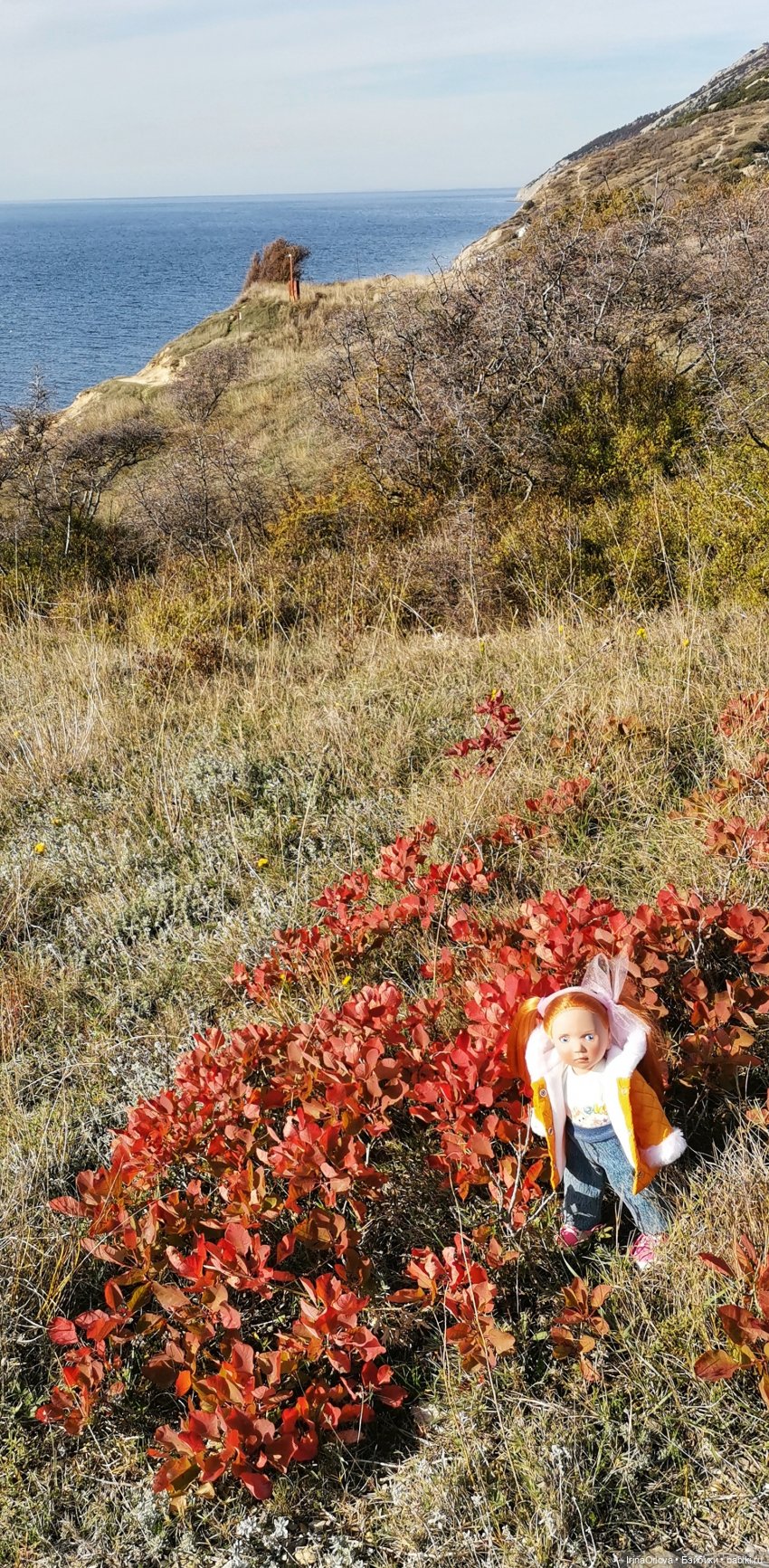 Золотая осень чудной красоты... 🌾🍁🍂