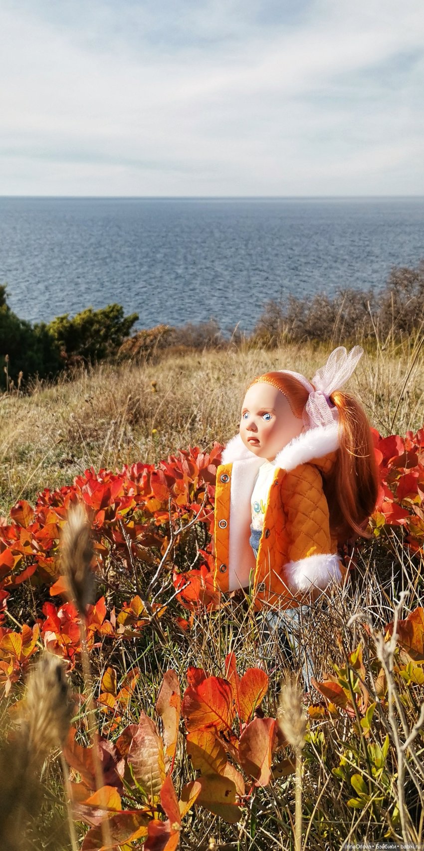 Золотая осень чудной красоты... 🌾🍁🍂