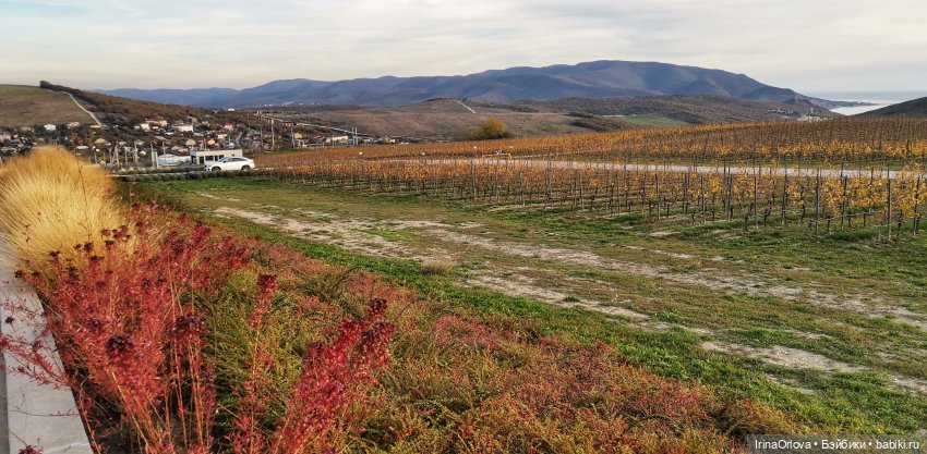 Золотая осень чудной красоты... 🌾🍁🍂