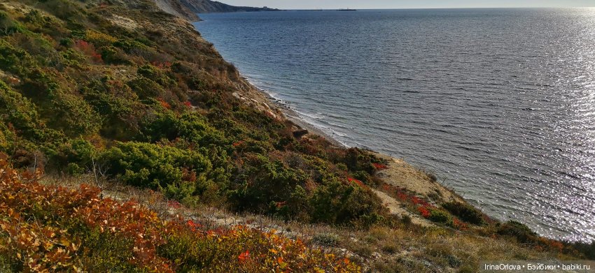 Золотая осень чудной красоты... 🌾🍁🍂