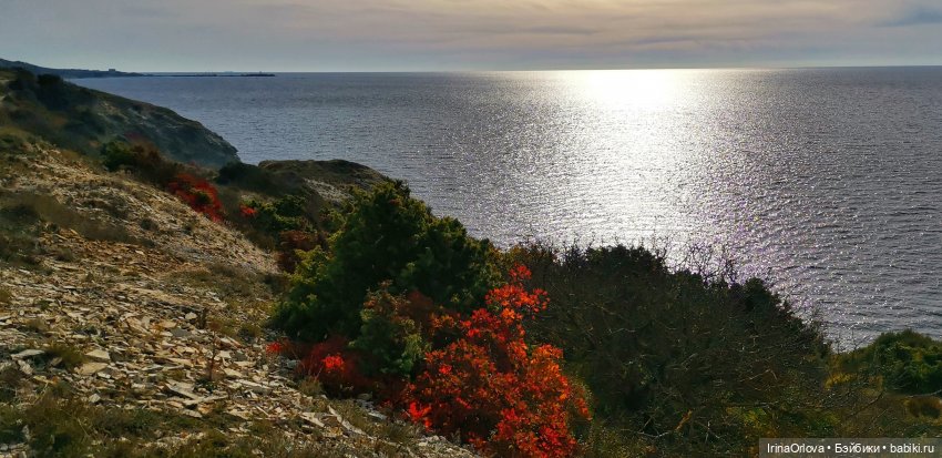 Золотая осень чудной красоты... 🌾🍁🍂