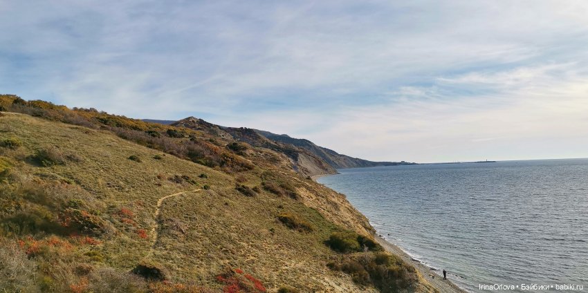 Золотая осень чудной красоты... 🌾🍁🍂