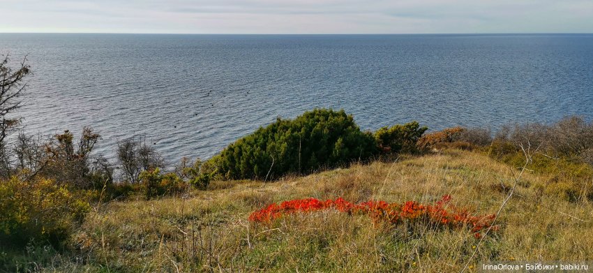 Золотая осень чудной красоты... 🌾🍁🍂