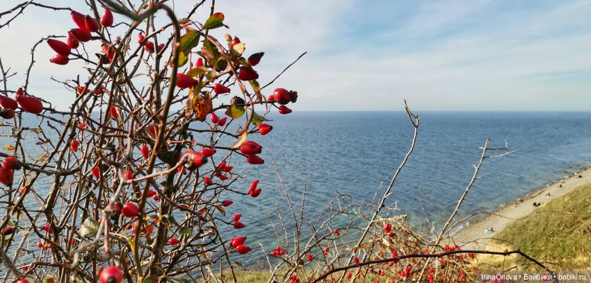 Золотая осень чудной красоты... 🌾🍁🍂