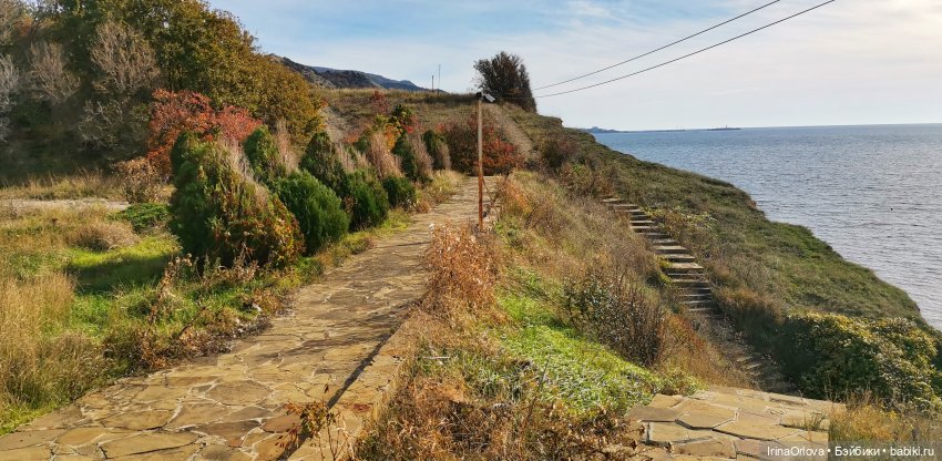 Золотая осень чудной красоты... 🌾🍁🍂