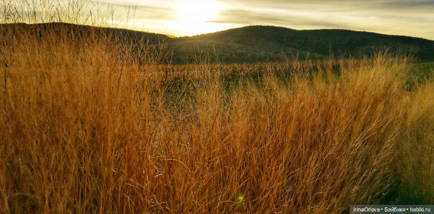 Золотая осень чудной красоты... 🌾🍁🍂
