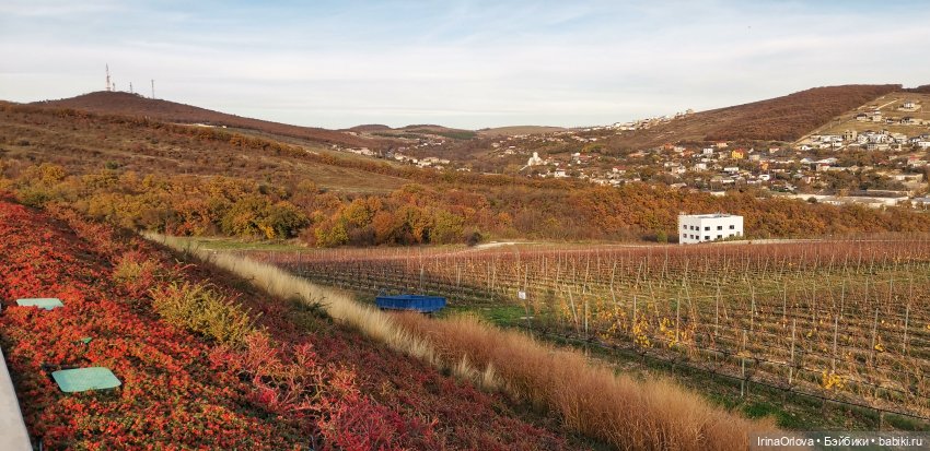 Золотая осень чудной красоты... 🌾🍁🍂