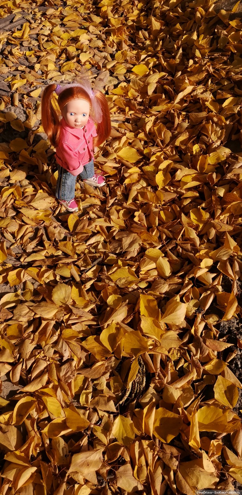 Золотая осень чудной красоты... 🌾🍁🍂