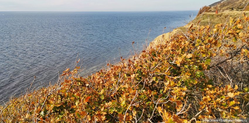Золотая осень чудной красоты... 🌾🍁🍂