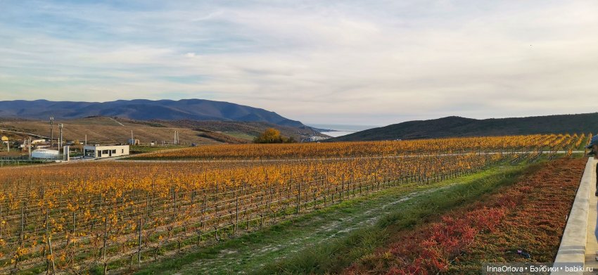 Золотая осень чудной красоты... 🌾🍁🍂