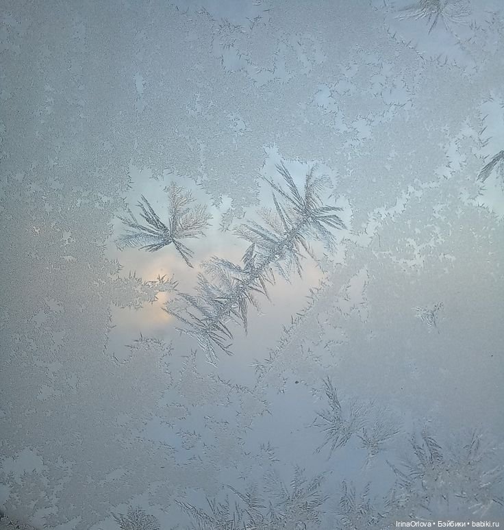 До свидания, ёлочка 🎄😔 — Куклы Gotz (Готц): Ханна