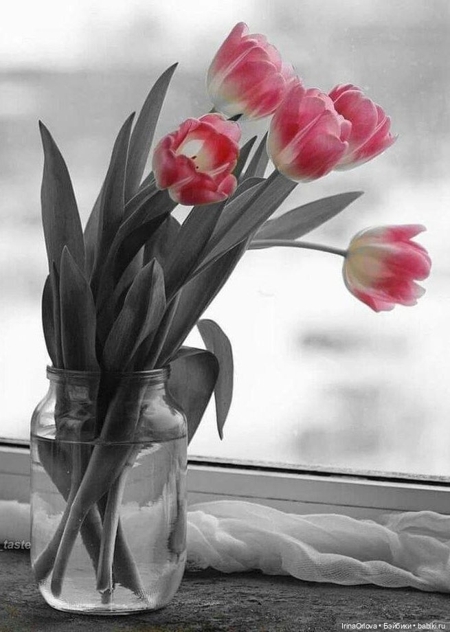 Тюльпаны в феврале🌷🌷🌷 — Куклы Zwergnase (Цвергназе/Цверги): фото (фото 9)