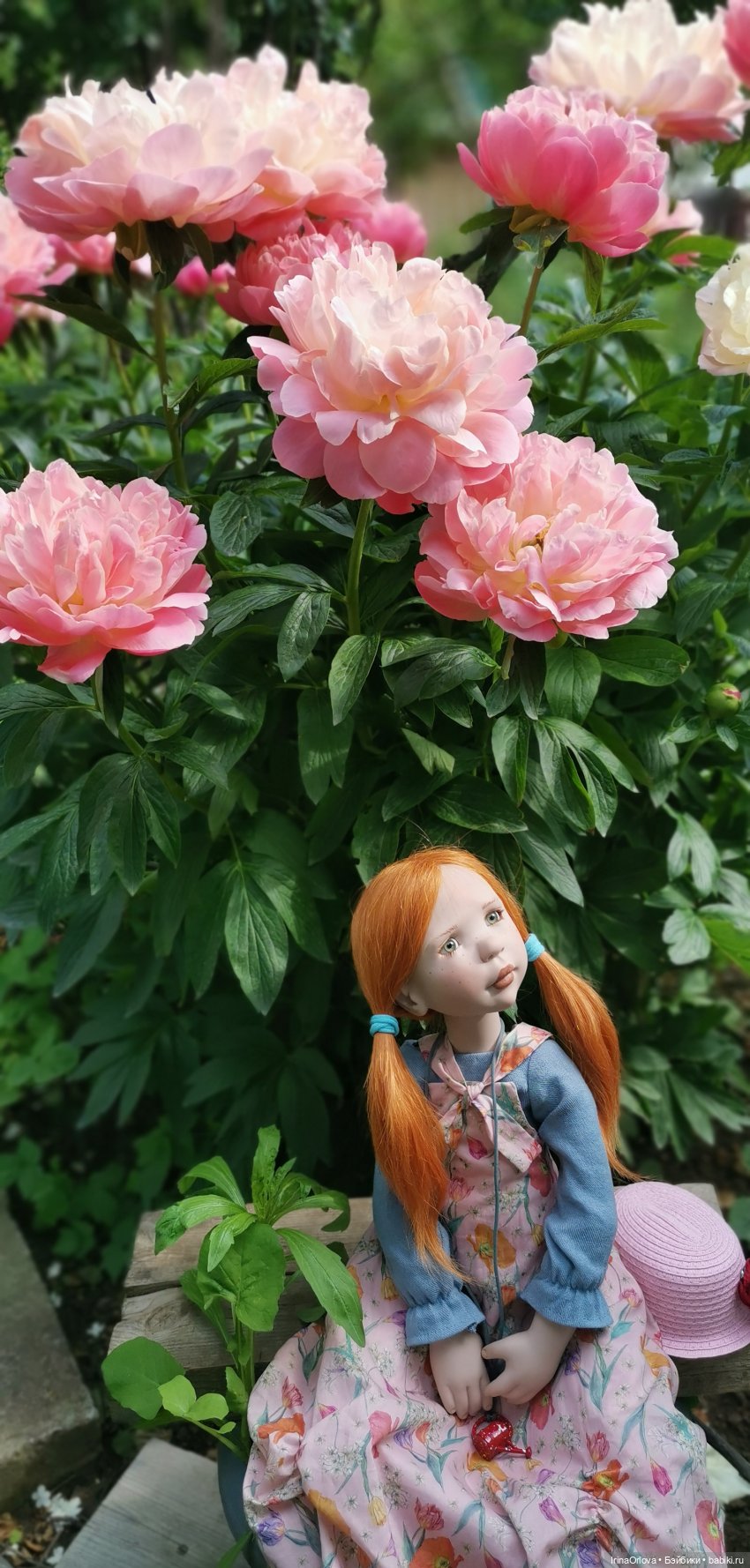 "Без пионов сад - не сад", - садоводы говорят... 🌸🌸🌸