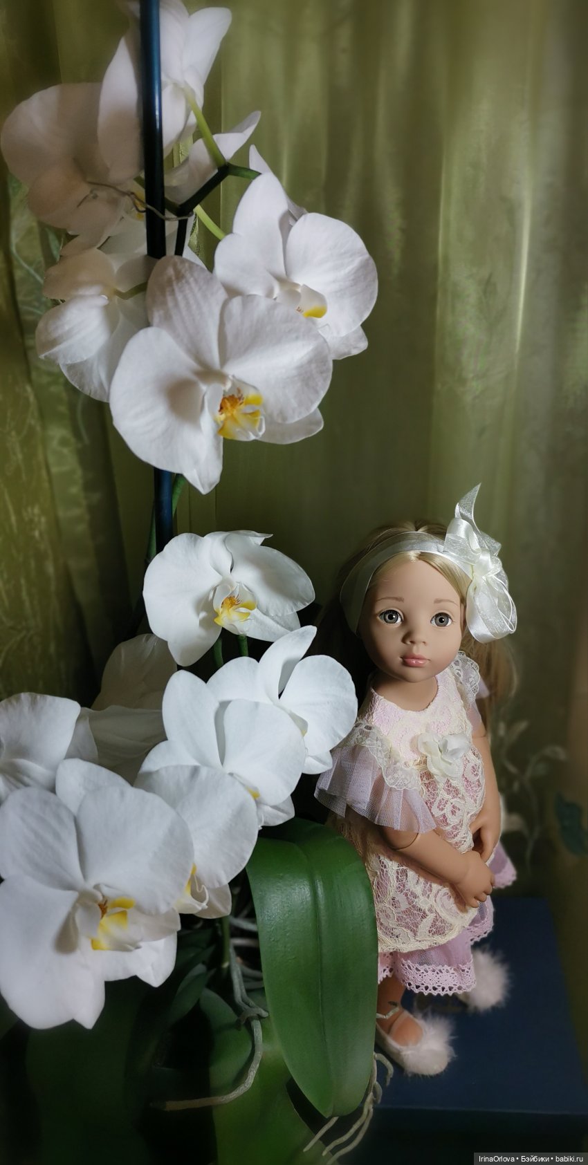 Как прекрасны орхидеи, словно сказочные феи... 🌺 🌺🌺