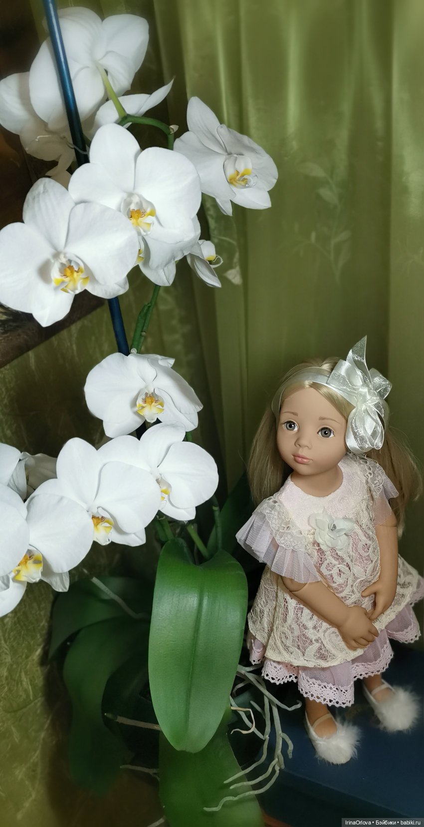 Как прекрасны орхидеи, словно сказочные феи... 🌺 🌺🌺