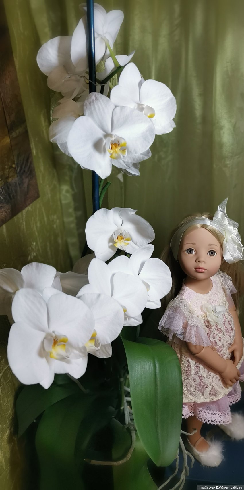 Как прекрасны орхидеи, словно сказочные феи... 🌺 🌺🌺