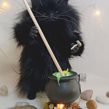 Шторм, кот-зельевар