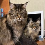 Портретная игрушка по фото котика/собаки